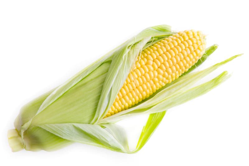 Corn & Maize