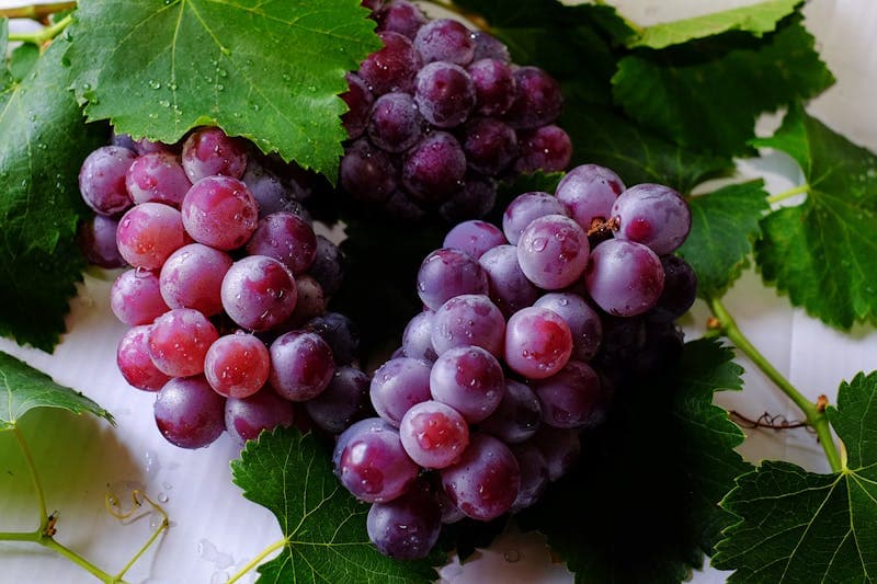 Premium Grapes